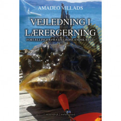 Vejledning i lærergerning