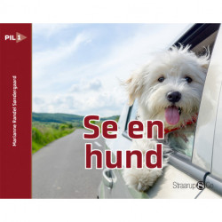 Se en hund (norsk)