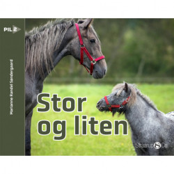 Stor og liten (norsk)