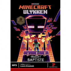Minecraft - Ulykken