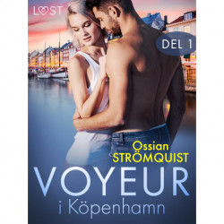 Voyeur i Köpenhamn del 1 - erotisk novell