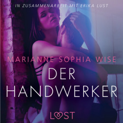 Der Handwerker: Erika Lust-Erotik