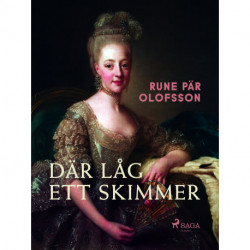 Där låg ett skimmer