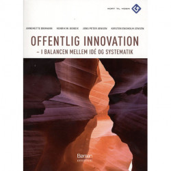 Offentlig Innovation - I ballance mellem idé og systematik