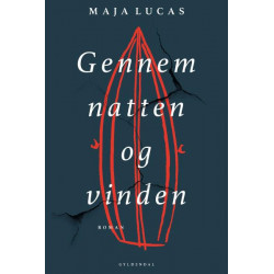 Gennem natten og vinden