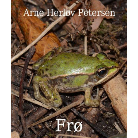 Frø