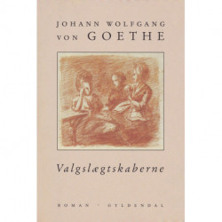 Valgslægtskaberne: En roman