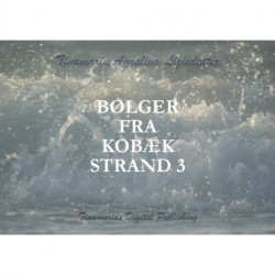 Bølger fra Kobæk Strand 3