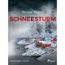 Schneesturm - Norwegen-Krimi