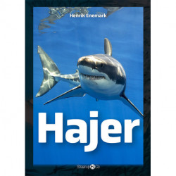 Hajer