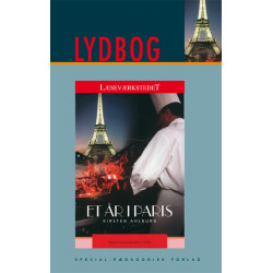 Et år i Paris, E-Lydbog