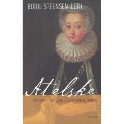 At elske: Roman om Tyge Brahes søster, Sophia