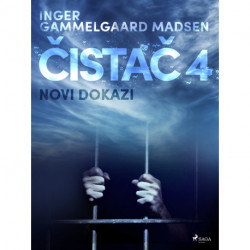 Čistač 4: Novi dokazi