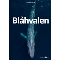 Blåhvalen