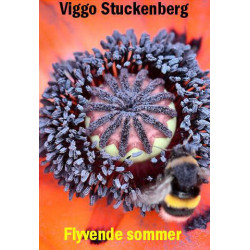 Flyvende sommer