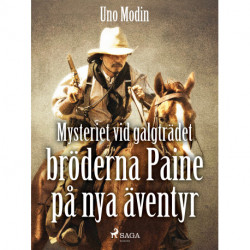 Mysteriet vid galgträdet : bröderna Paine på nya äventyr