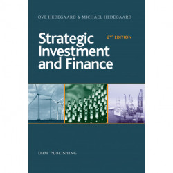 Strategic Investment and Finance