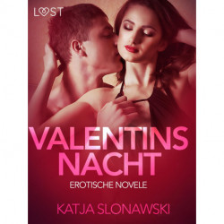 Valentinsnacht: Erotische Novelle