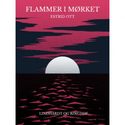 Flammer i mørket