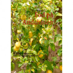 Fod på Andalusien: 40 udflugter med indlagt vandring i den sydspanske natur