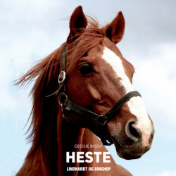 Heste