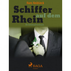 Schiffe auf dem Rhein
