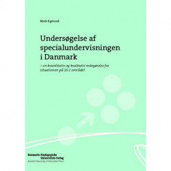 Undersøgelse af specialundervisningen i Danmark: - en kvantitativ og kvalitativ redegørelse for situationen på 20.1 området