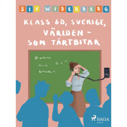 Klass 6 D, Sverige, Världen som tårtbitar