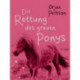 Die Rettung des grauen Ponys