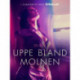 Uppe bland molnen - erotisk novell
