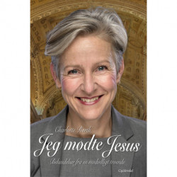 Jeg mødte Jesus: Bekendelser fra en modvilligt troende