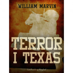 Terror i Texas