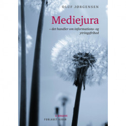 Mediejura - det handler om informations- og ytringsfrihed