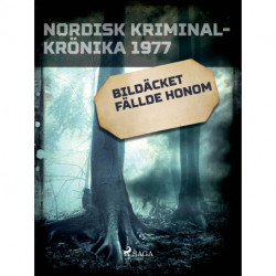 Bildäcket fällde honom