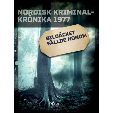 Bildäcket fällde honom