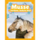 Musse - verdens bedste hest