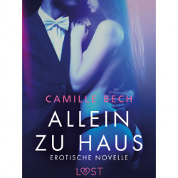 Allein zu Haus - Erotische Novelle