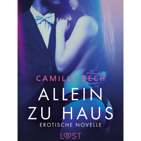 Allein zu Haus - Erotische Novelle