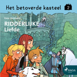 Het betoverde kasteel 2 – Ridderlijke liefde