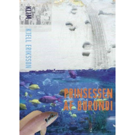 Prinsessen af Burundi