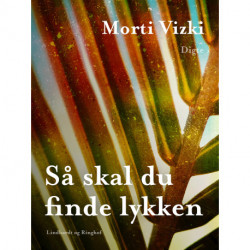 Så skal du finde lykken