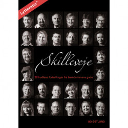 Skilleveje: 28 hudløst ærlige fortællinger fra barndommens gade