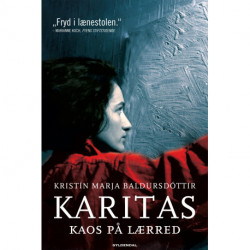 Karitas. Kaos på lærred