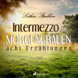 Intermezzo im Morgengrauen - acht Erzählungen
