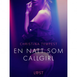 En natt som Callgirl - erotisk novell
