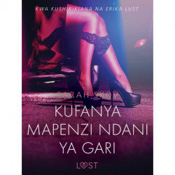 Kufanya Mapenzi Ndani ya Gari - Hadithi Fupi ya Mapenzi