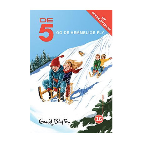 De 5 og de hemmelige fly