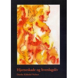 Hjerneskade og hverdagsliv