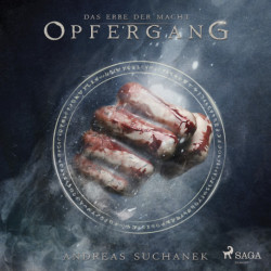 Das Erbe der Macht - Band 8: Opfergang (Urban Fantasy)