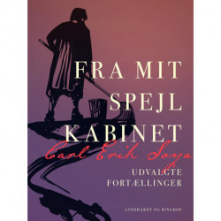 Fra mit spejlkabinet. Udvalgte fortællinger